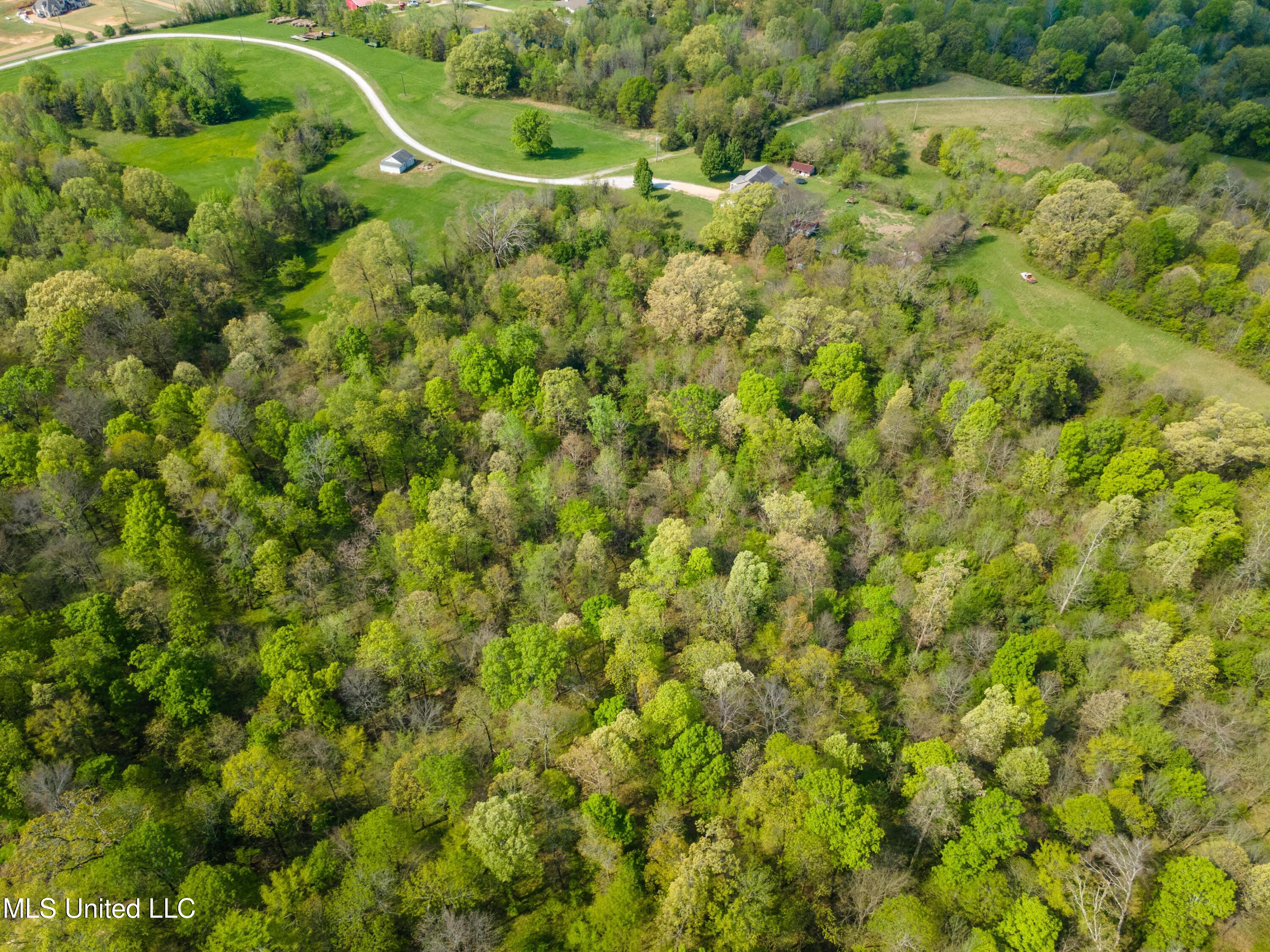 13950 Fairview Road Byhalia, MS 38611 - Photo 4 of 8 98DF928D-DFB9-4EA7-8423-0DA327B13C9B