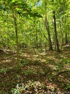Lot C Homestead Road Lanexa, VA 23089 - Photo 16 of 18 Gallery Image 16