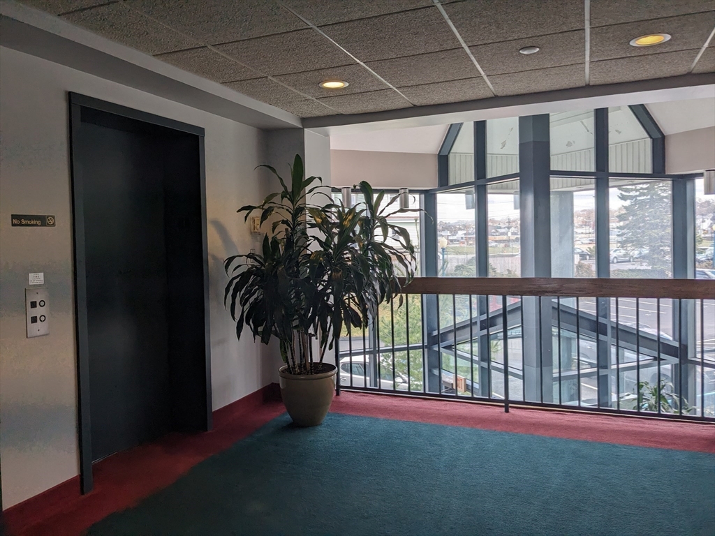750 Davol Street, Unit 1214 Fall River, MA 02720 - Photo 5 of 42 a living room with furniture and a potted plant