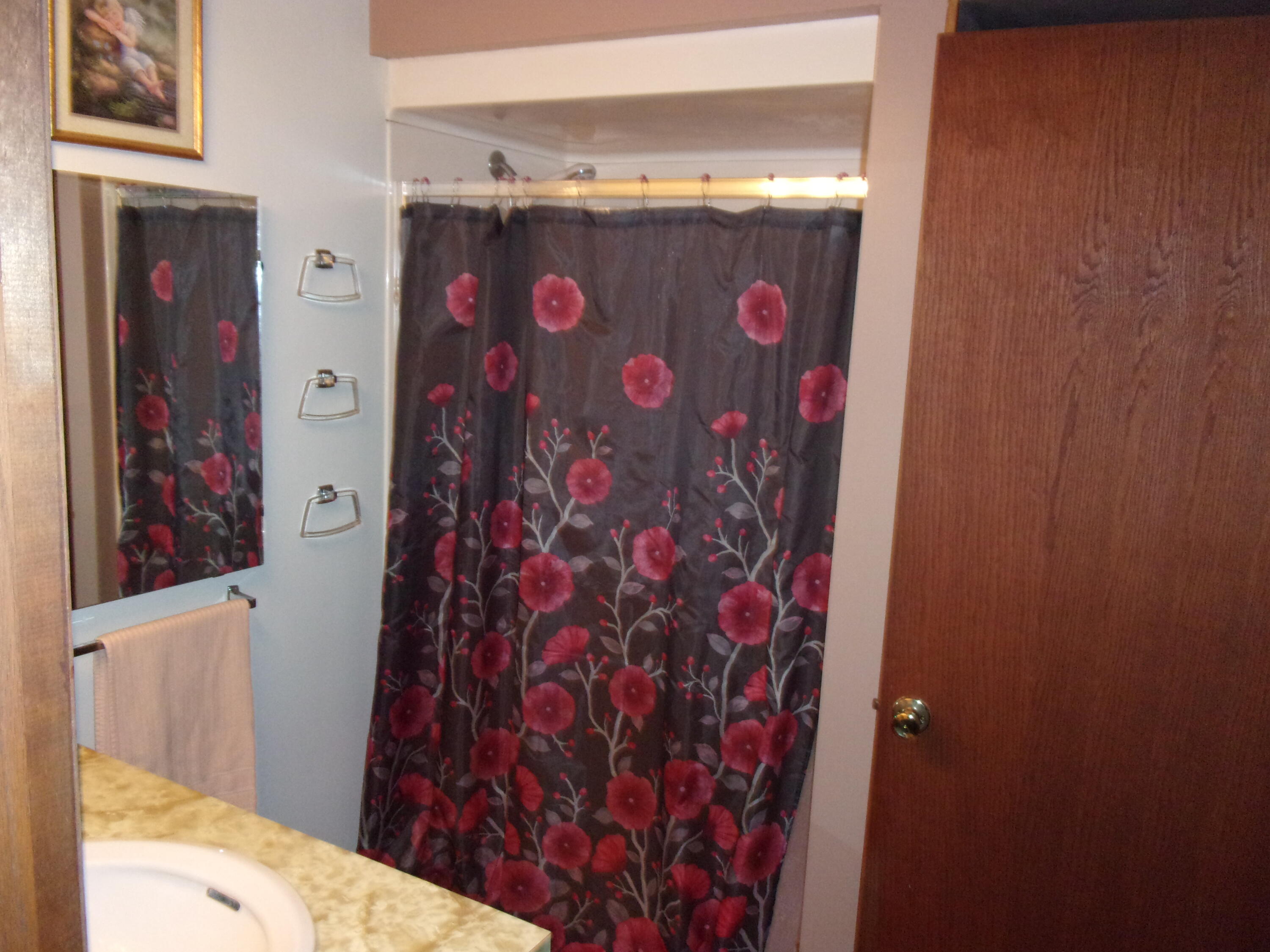9100 Humphrey Road Reading, MI 49274 - Photo 11 of 33 100_1851