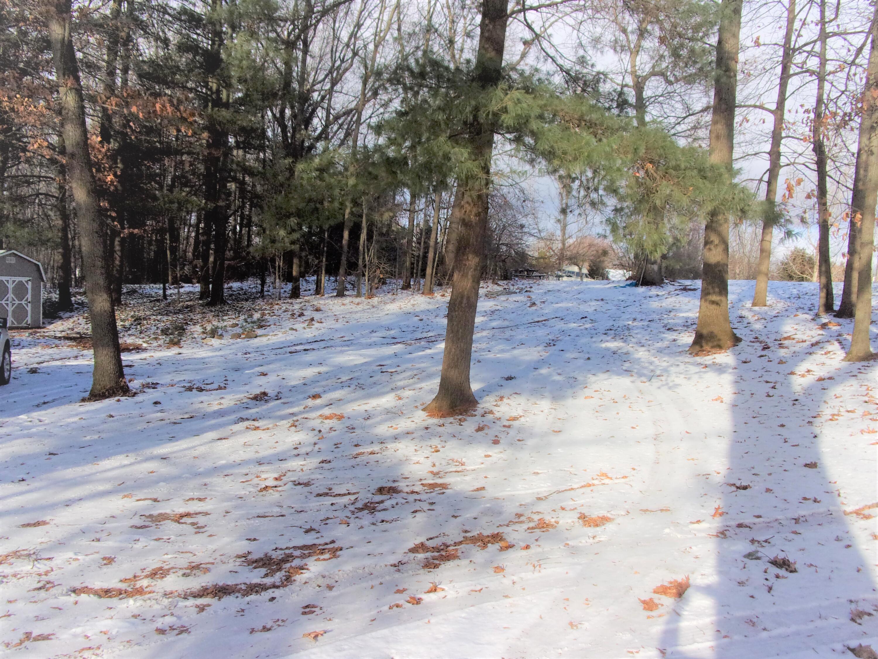 9100 Humphrey Road Reading, MI 49274 - Photo 24 of 33 100_1869
