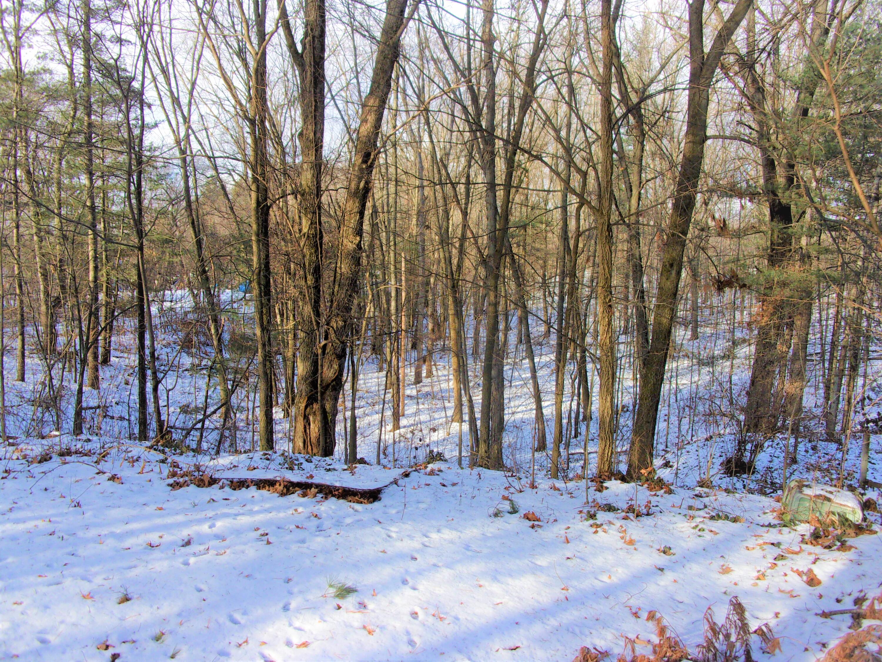 9100 Humphrey Road Reading, MI 49274 - Photo 25 of 33 100_1870