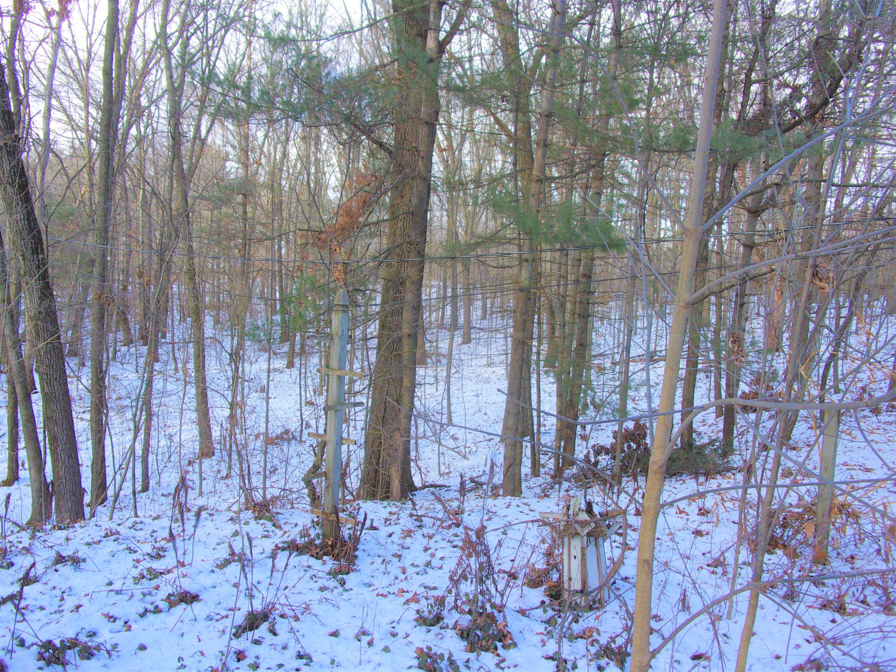 9100 Humphrey Road Reading, MI 49274 - Photo 29 of 33 100_1875