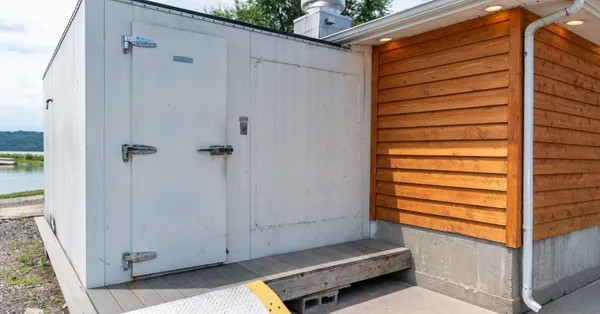 a view of a room with stairs and a potted plant