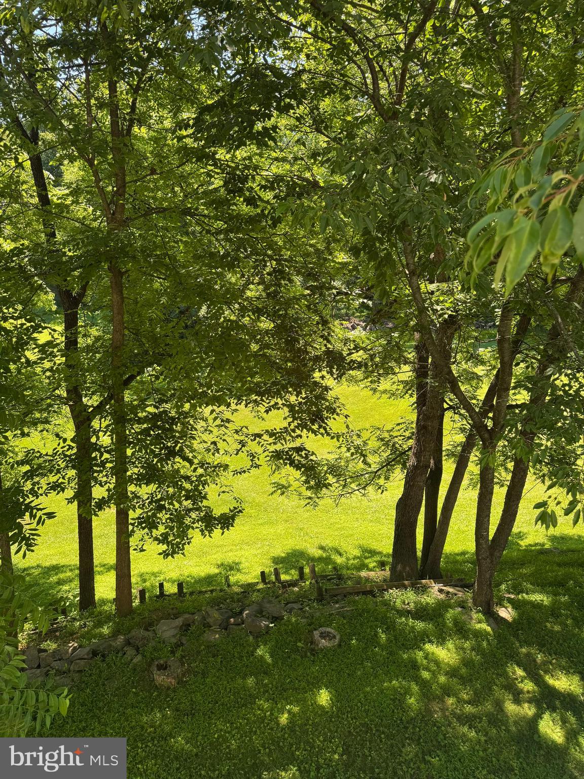 23210 Dover Road Middleburg, VA 20117 - Photo 25 of 27 Backyard