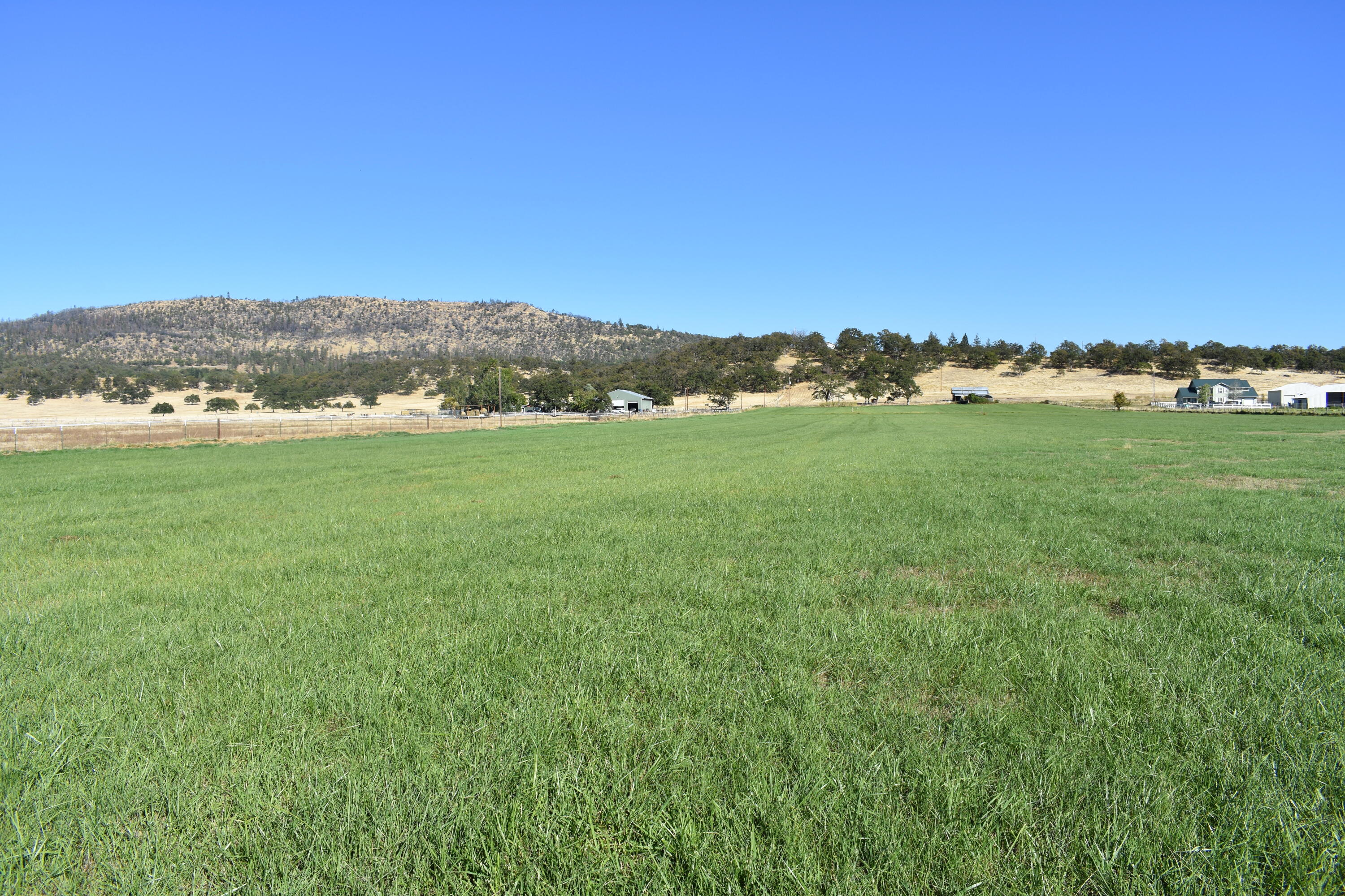0 Reese Creek Road, Unit 1002 &1003 Eagle Point, OR 97524 - Photo 8 of 13 DSC_0422