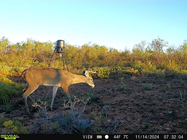 a view of a interior in a room