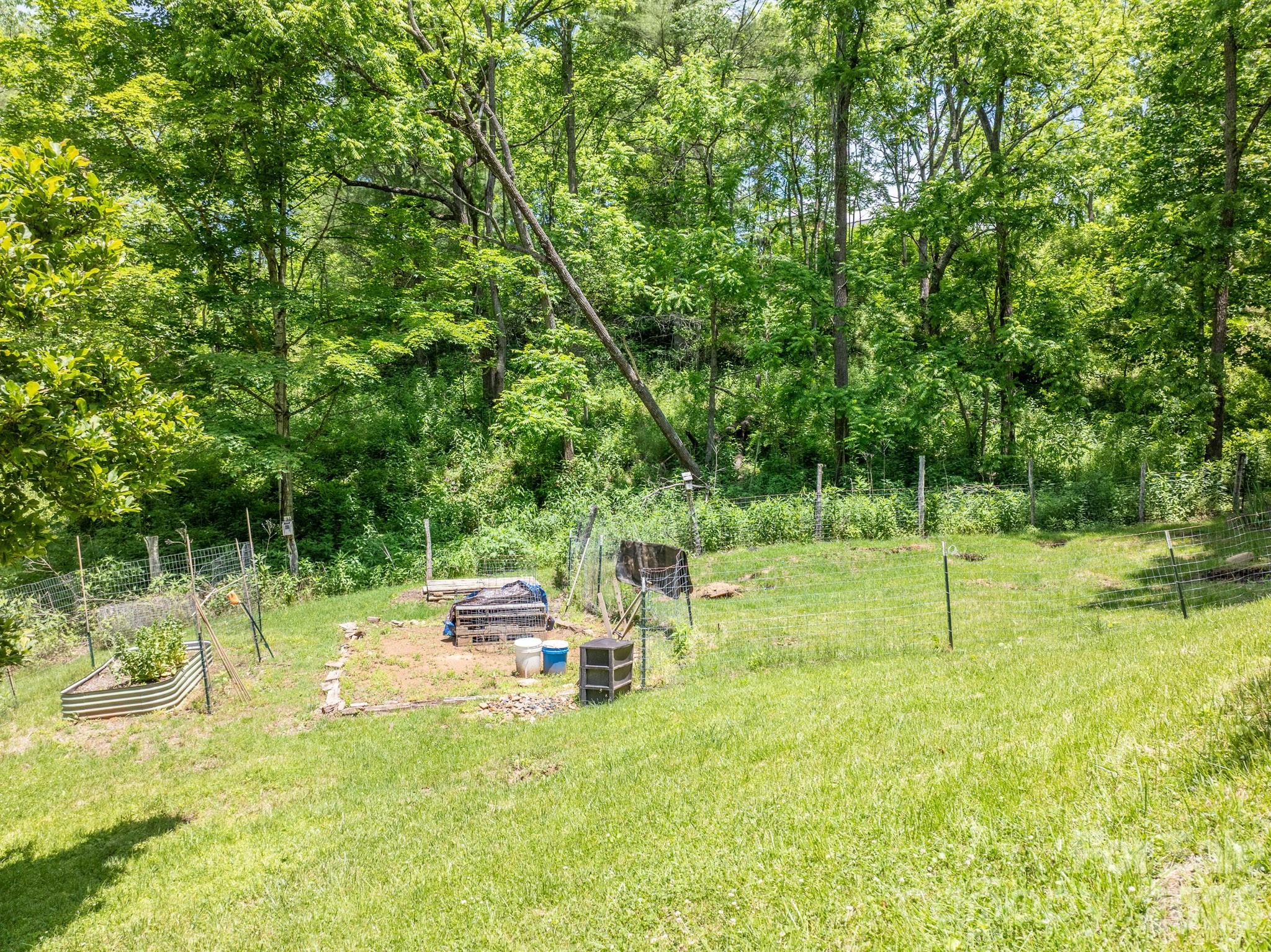 295 Richmond Road Bakersville, NC 28705 - Photo 26 of 33