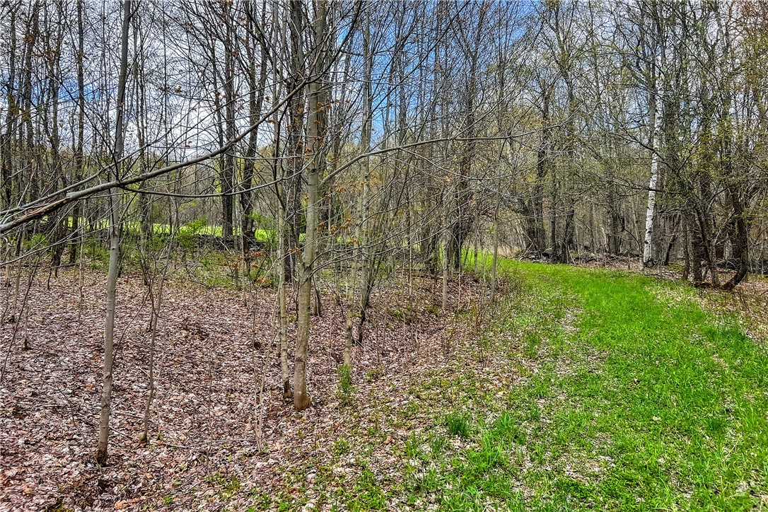 Lot 3 Brownell Road Bloomville, NY 13739 - Photo 7 of 35