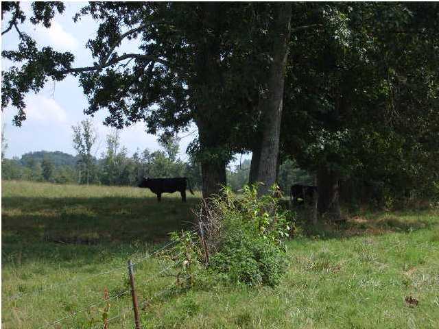 11 Keith Road Ringgold, GA 30736 - Photo 2 of 2 Additional Photo