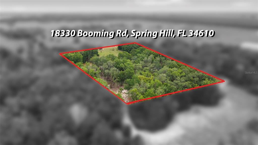 18330 Booming Road Spring Hill, FL 34610 - Photo 43 of 48