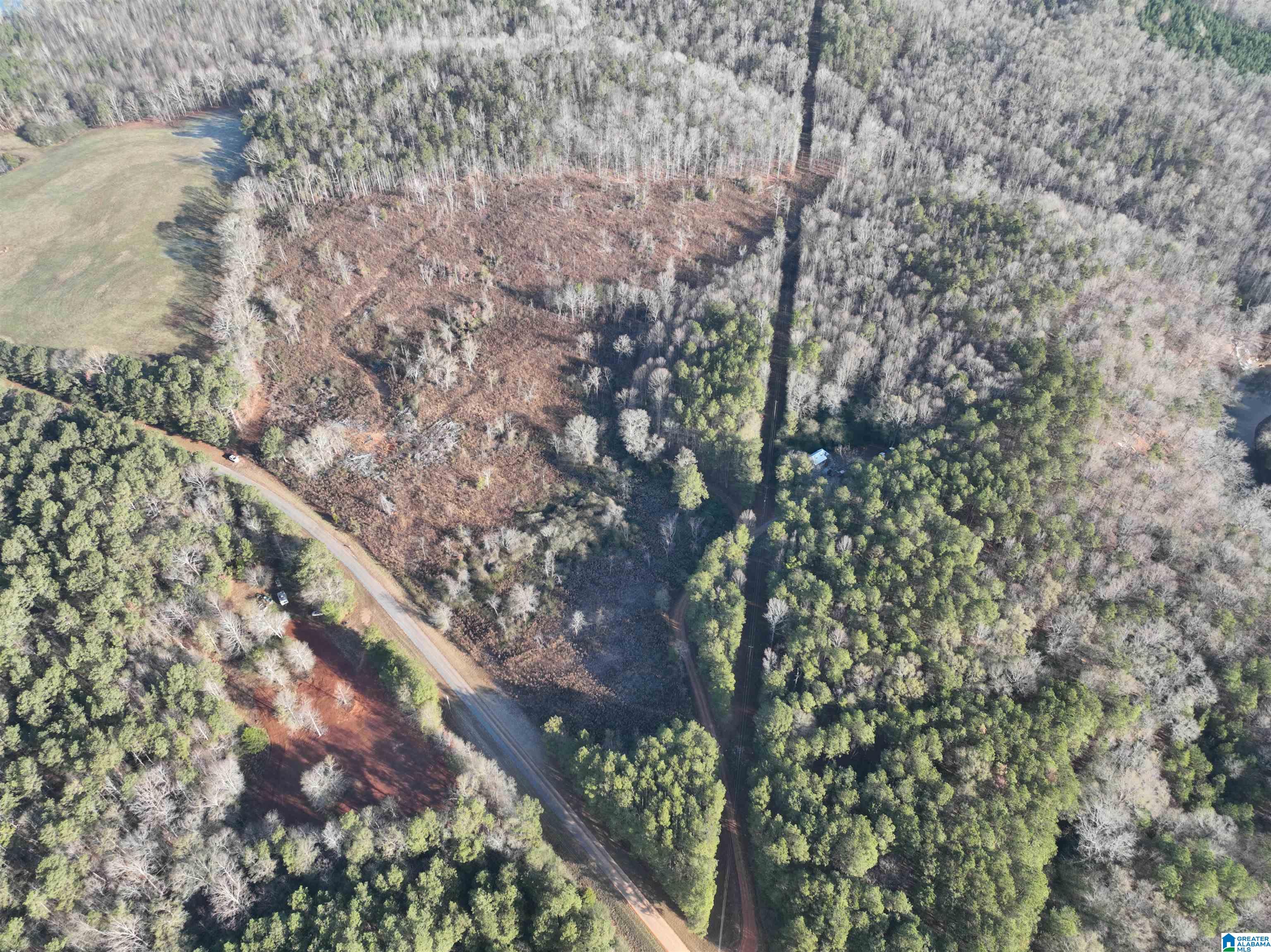 532 County Road Woodland, AL 36280 - Photo 3 of 12