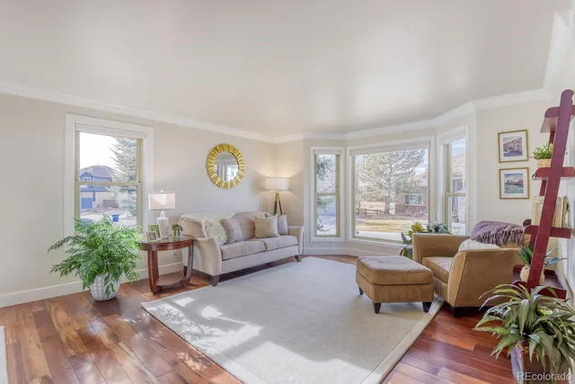 $1,000,000 | 10048 Cottoncreek Drive, Highlands Ranch, CO 80130