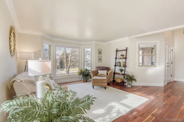 $1,000,000 | 10048 Cottoncreek Drive, Highlands Ranch, CO 80130