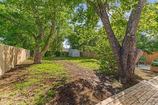 a view of backyard with tree
