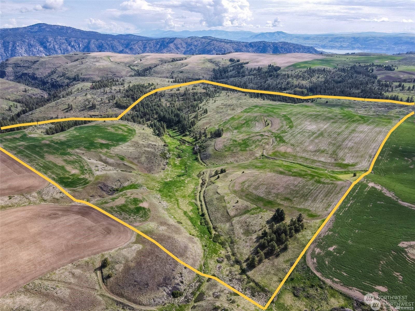 0 Halverson Canyon Road Creston, WA 99117 - Photo 1 of 13 Gallery Image 1