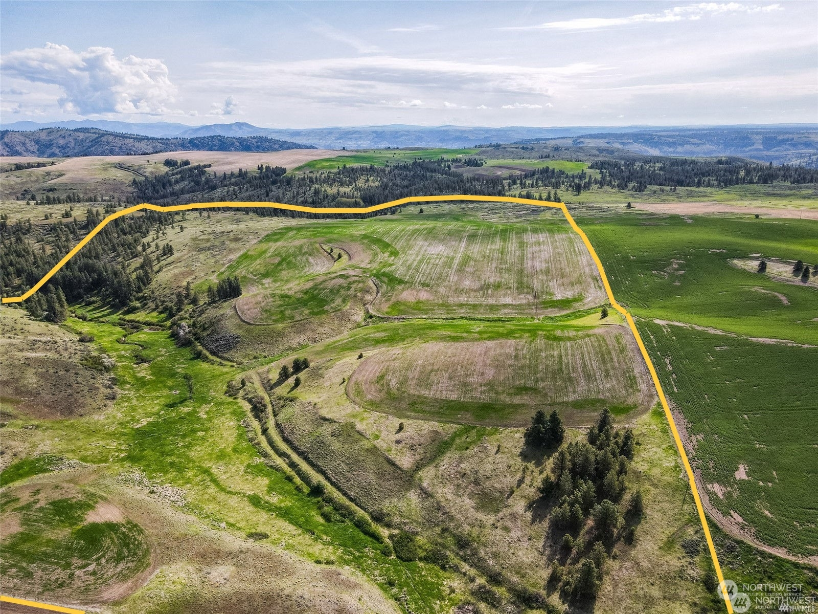 0 Halverson Canyon Road Creston, WA 99117 - Photo 3 of 13 Gallery Image 3