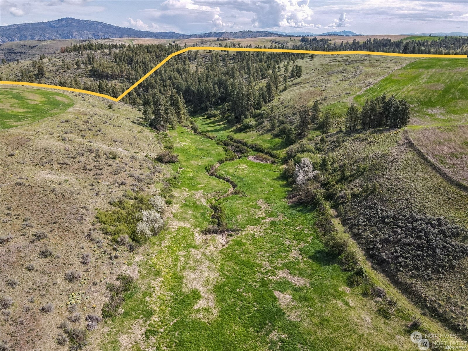 0 Halverson Canyon Road Creston, WA 99117 - Photo 4 of 13 Gallery Image 4