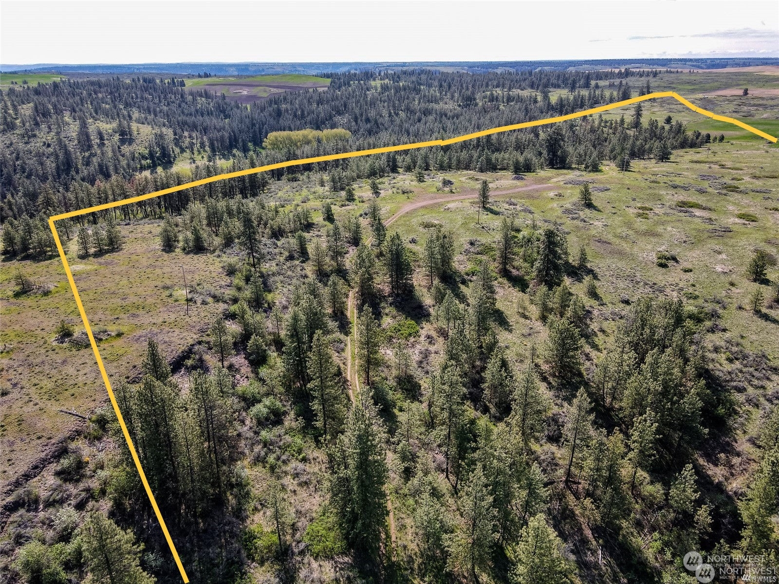 0 Halverson Canyon Road Creston, WA 99117 - Photo 5 of 13 Gallery Image 5