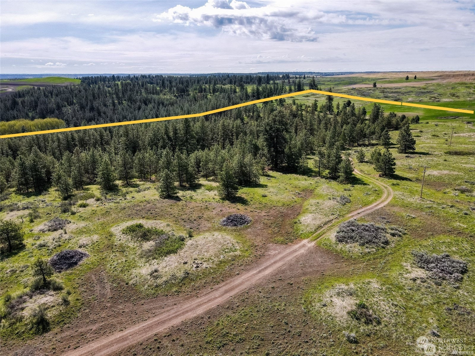 0 Halverson Canyon Road Creston, WA 99117 - Photo 6 of 13 Gallery Image 6