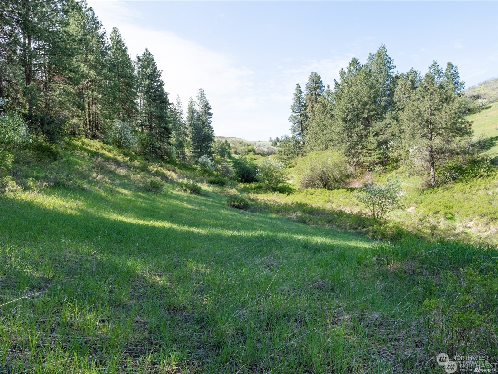 0 Halverson Canyon Road Creston, WA 99117 - Photo 9 of 13 Gallery Image 9