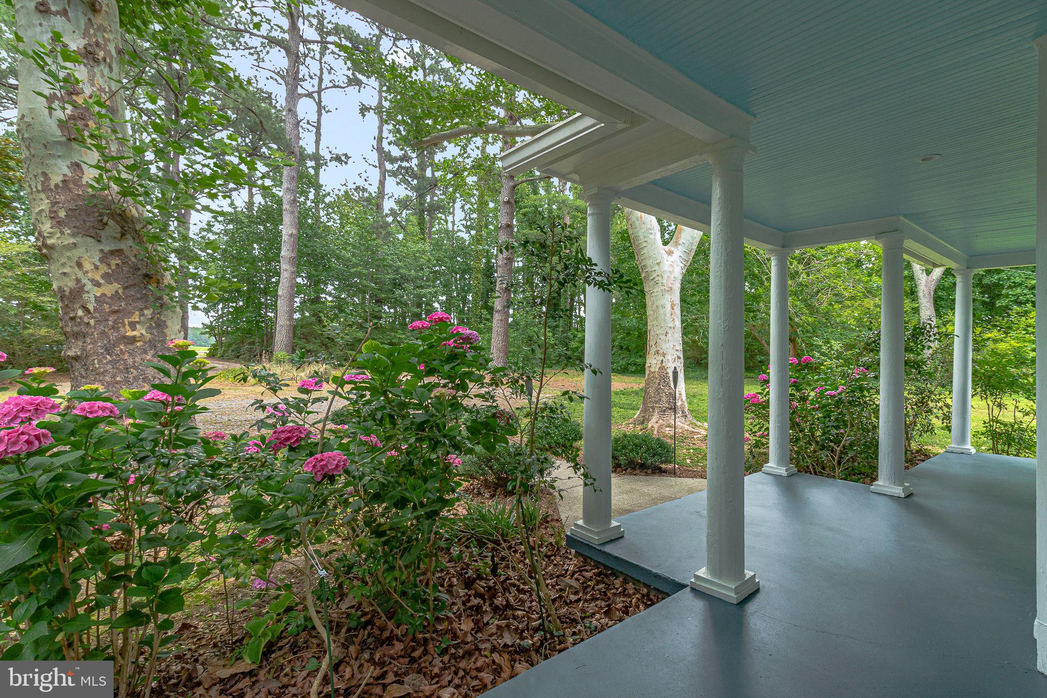 3952 Irvington Road Irvington, VA 22480 - Photo 4 of 77 a view of backyard with garden and plants