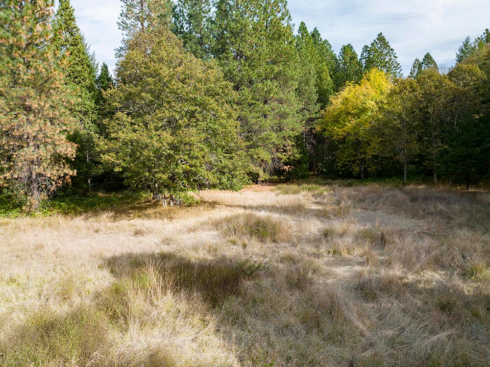 7910 Deer Creek Road Selma, OR 97538 - Photo 43 of 51 41