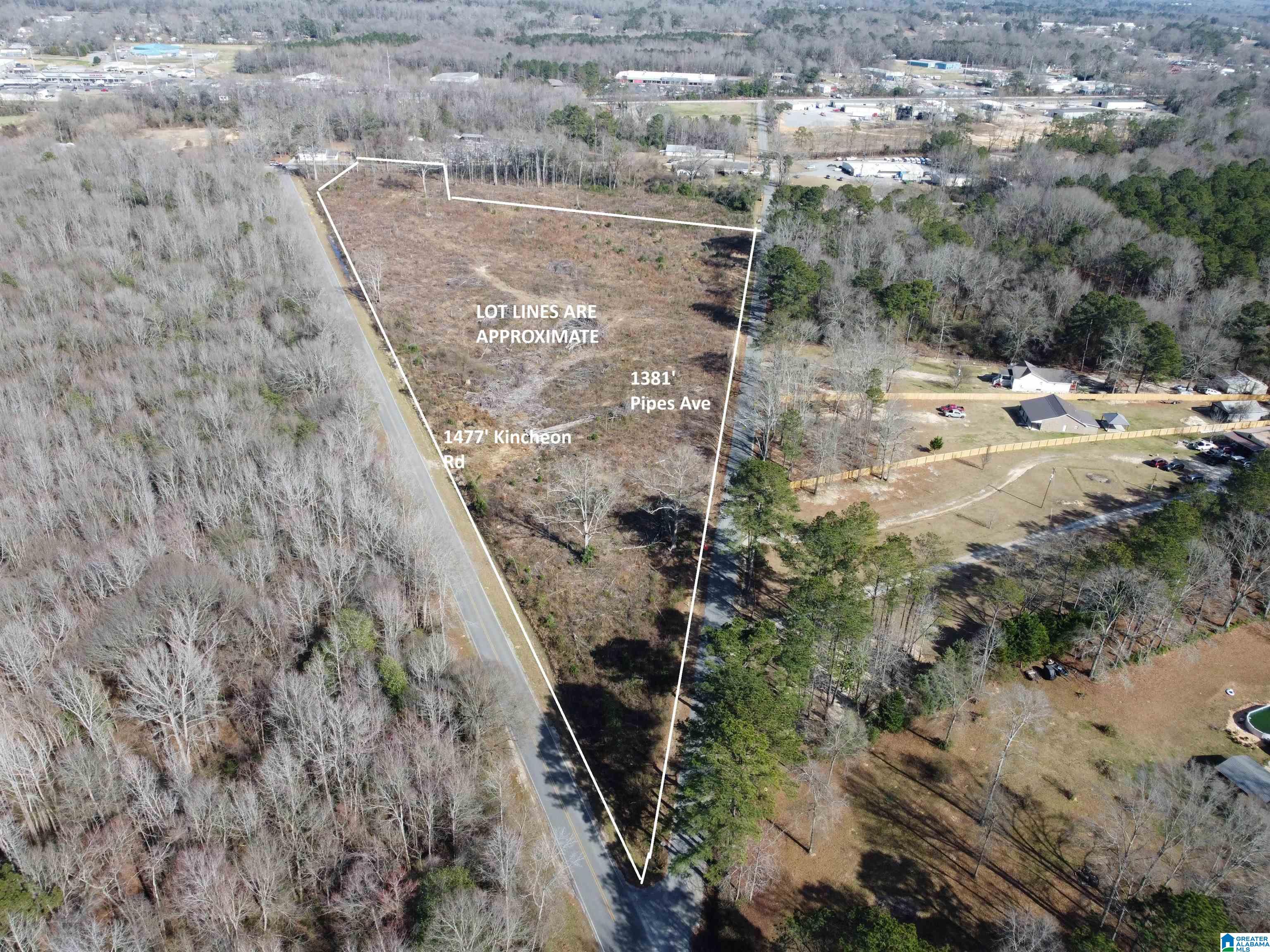 0 Kincheon Road Clanton, AL 35045 - Photo 1 of 45