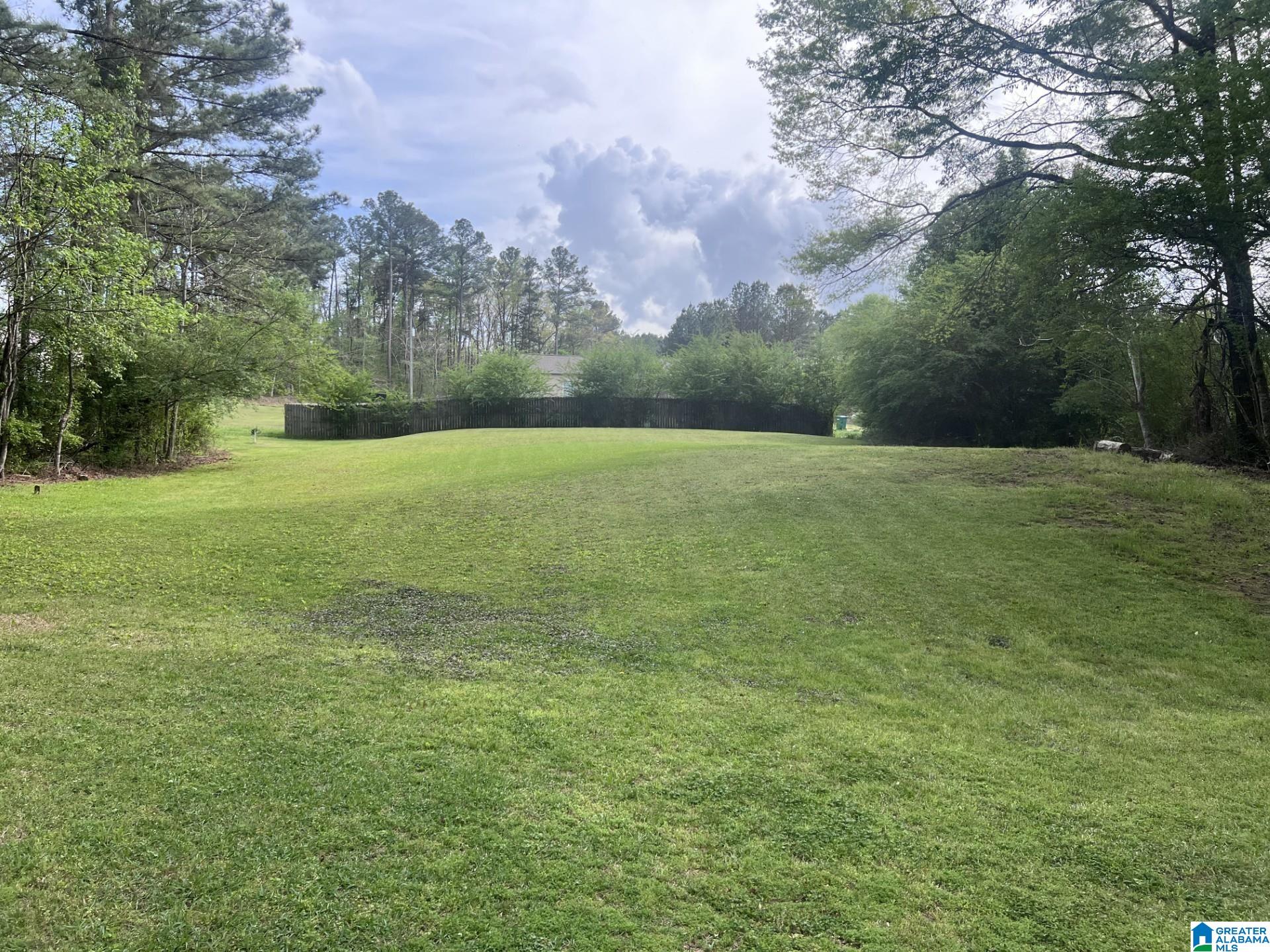 13276 Parson Drive Vance, AL 35490 - Photo 2 of 4