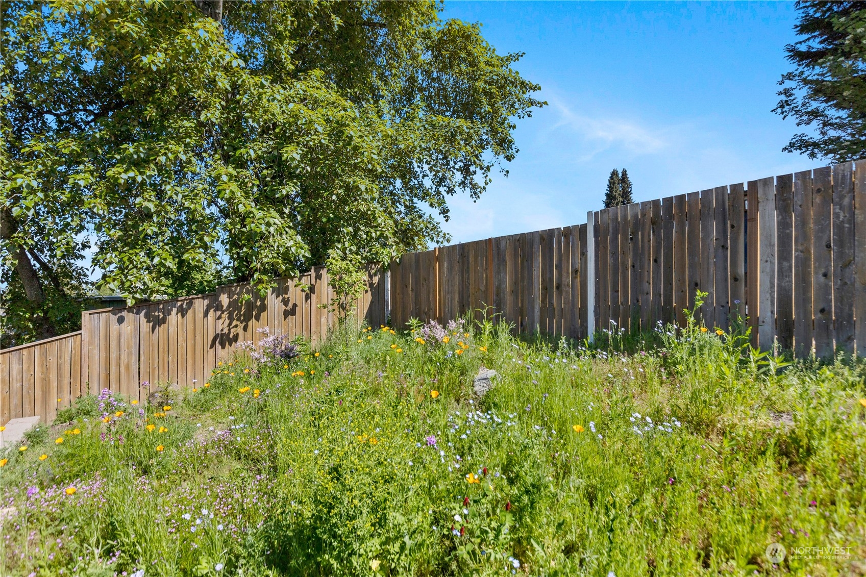 12012 Renton Avenue South Seattle, WA 98178 - Photo 25 of 29 Gallery Image 25