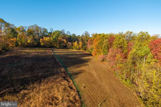 a view of an ocean and beach