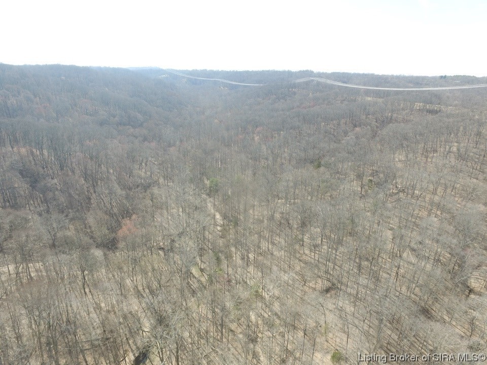 0 North Leval Ratt Road Scottsburg, IN 47170 - Photo 9 of 15