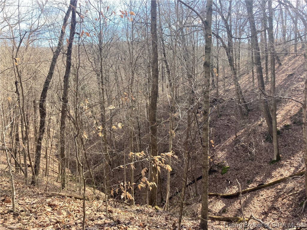 0 North Leval Ratt Road Scottsburg, IN 47170 - Photo 10 of 15