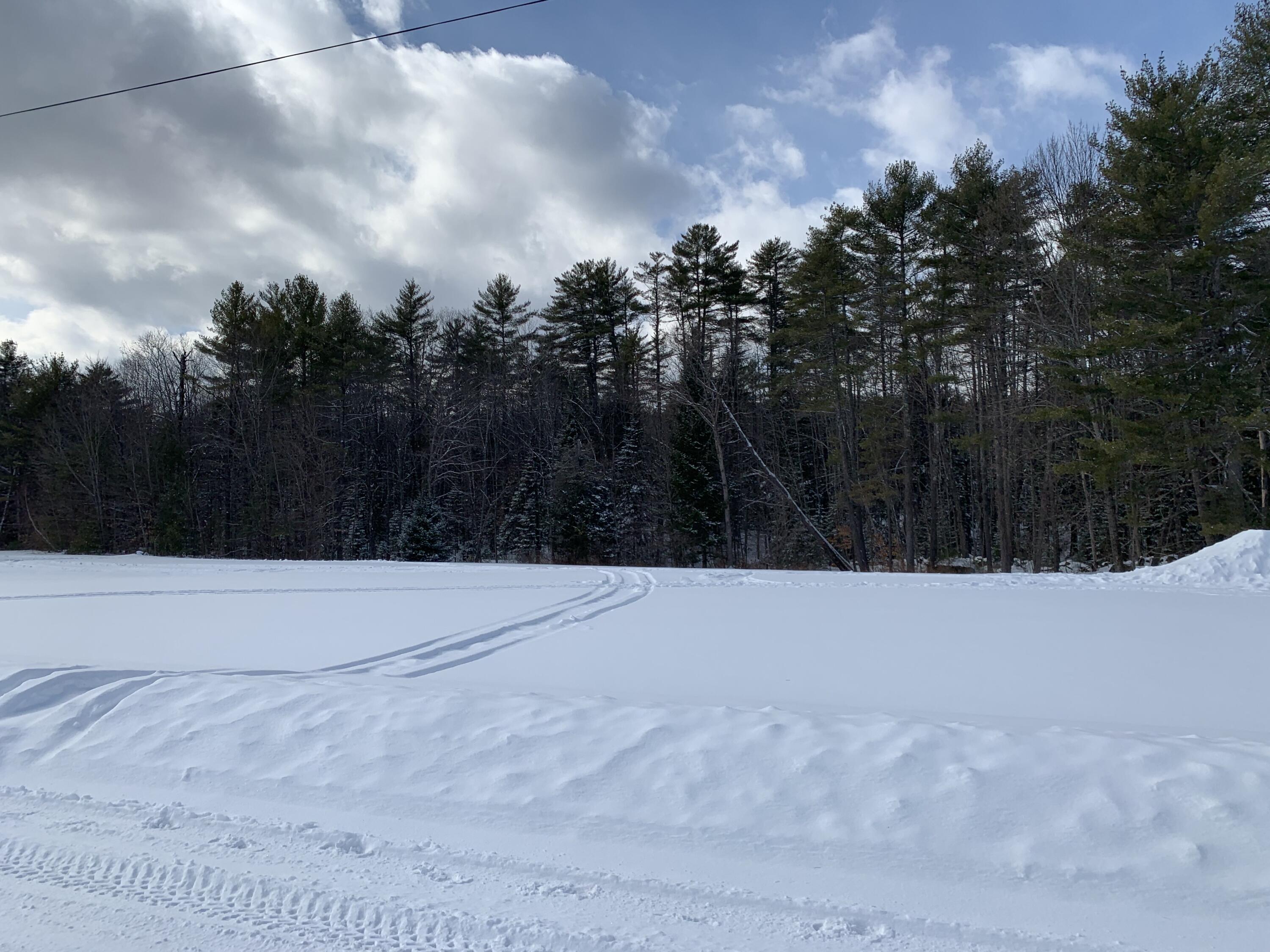 Open field and woods