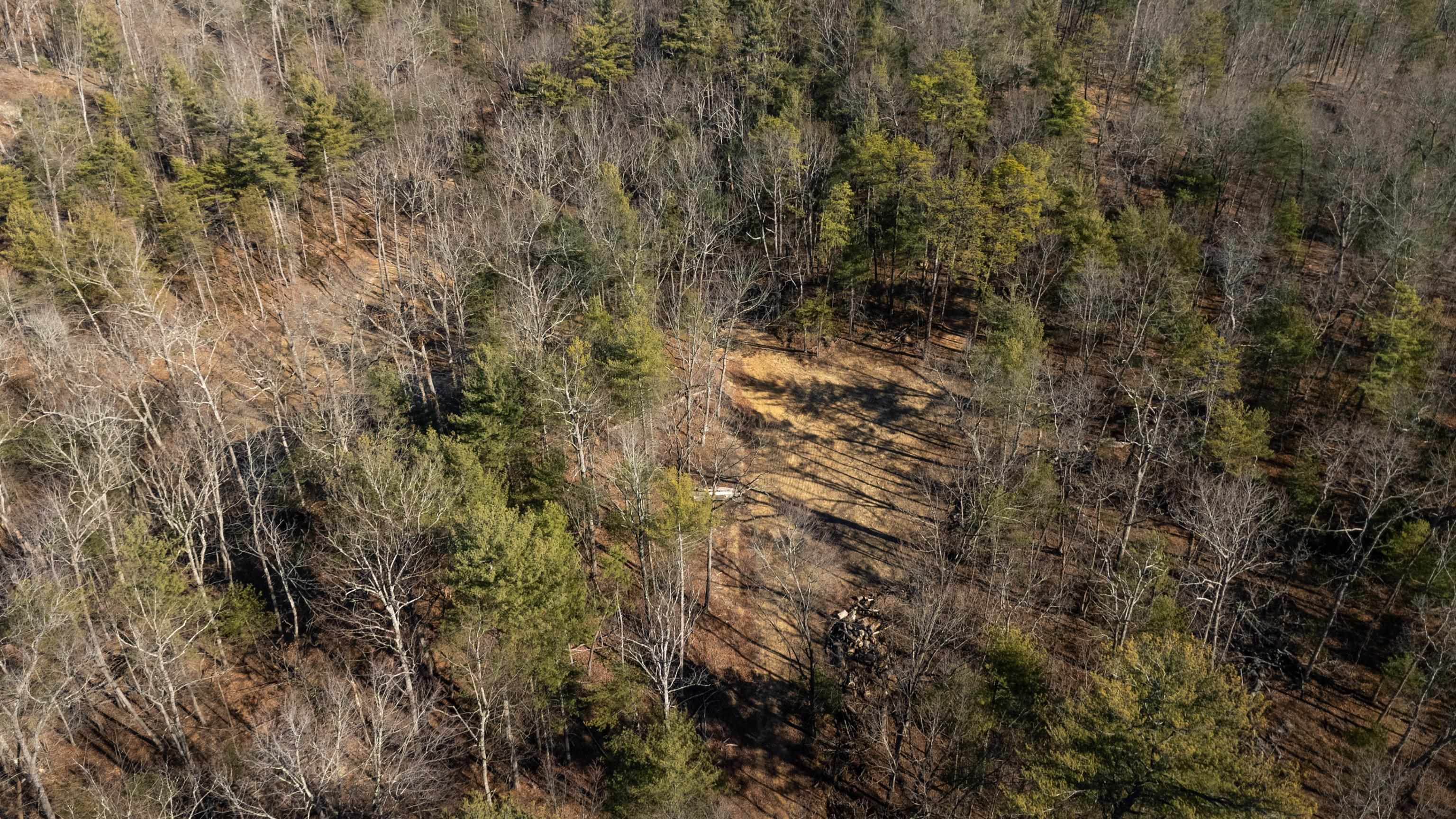 24.97-ac Stribling Springs Road Mount Solon, VA 22843 - Photo 16 of 34 a view of a tree
