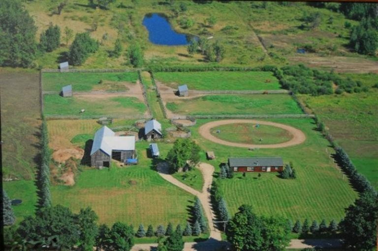 8180 Townline Lake Road Lakeview, MI 48850 - Photo 1 of 16 Primary Photo