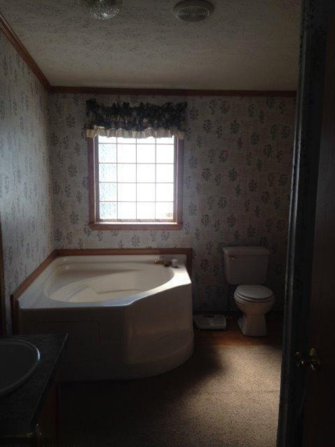 8180 Townline Lake Road Lakeview, MI 48850 - Photo 12 of 16 Additional Photo