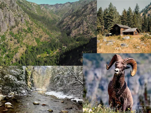 $975,000 | 3869 Salmon River Road, Riggins, ID 83549