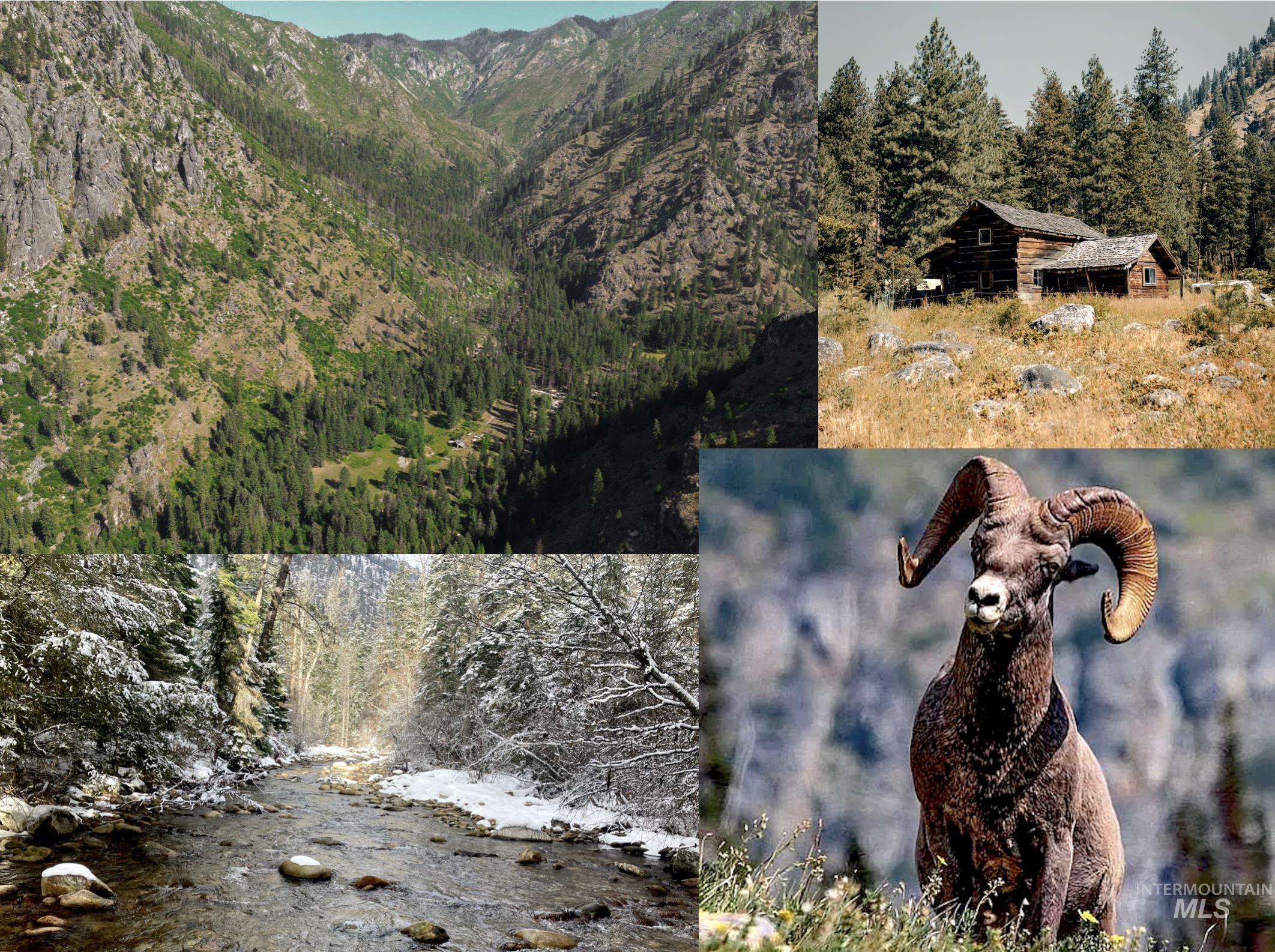 3869 Salmon River Road Riggins, ID 83549 - Photo 1 of 50