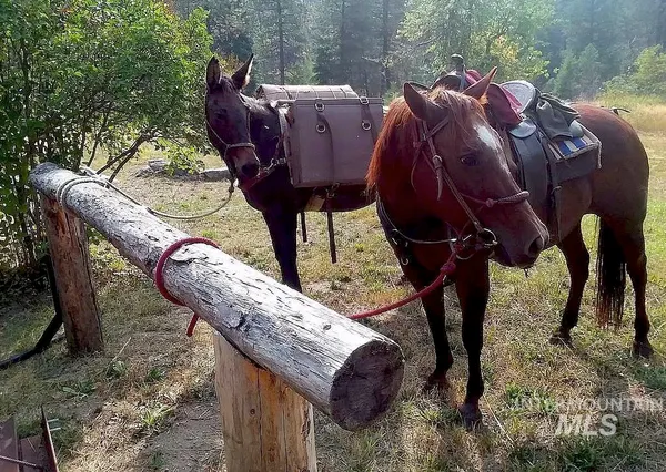 $975,000 | 3869 Salmon River Road, Riggins, ID 83549