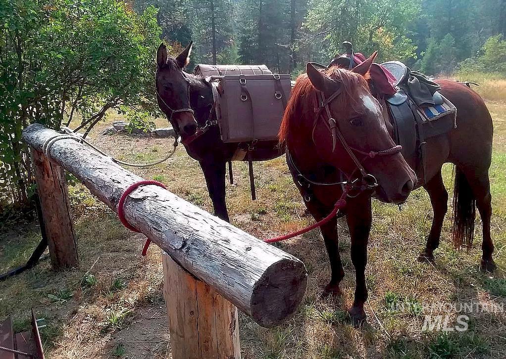3869 Salmon River Road Riggins, ID 83549 - Photo 19 of 50