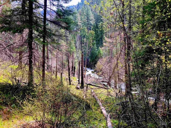 $975,000 | 3869 Salmon River Road, Riggins, ID 83549