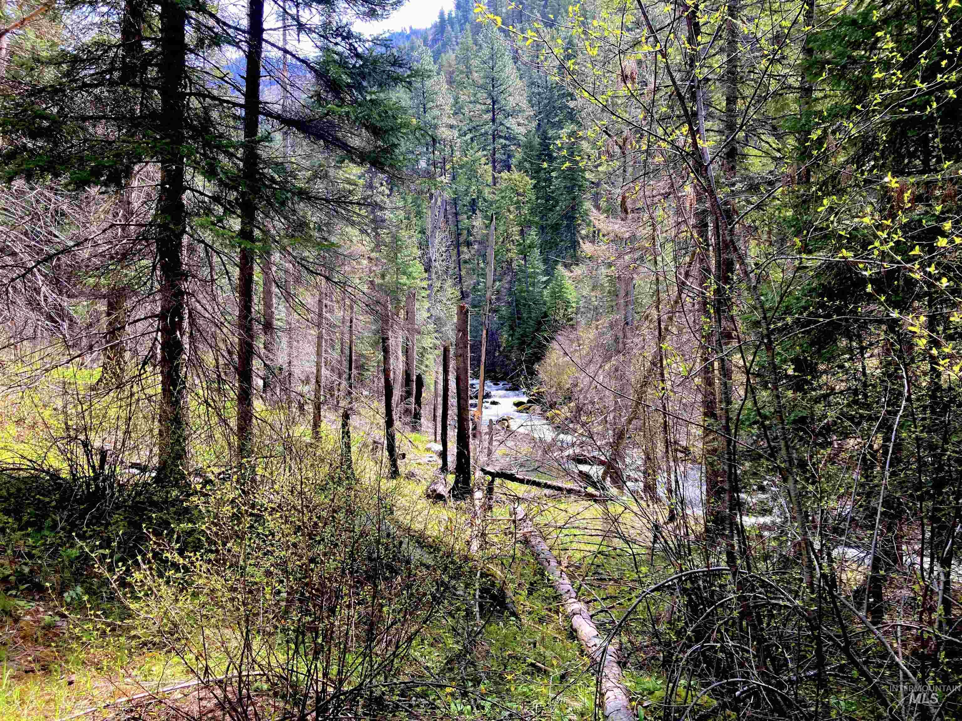 3869 Salmon River Road Riggins, ID 83549 - Photo 21 of 50