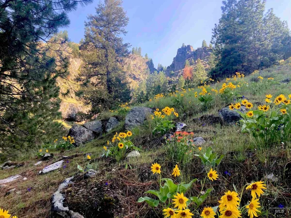 $975,000 | 3869 Salmon River Road, Riggins, ID 83549