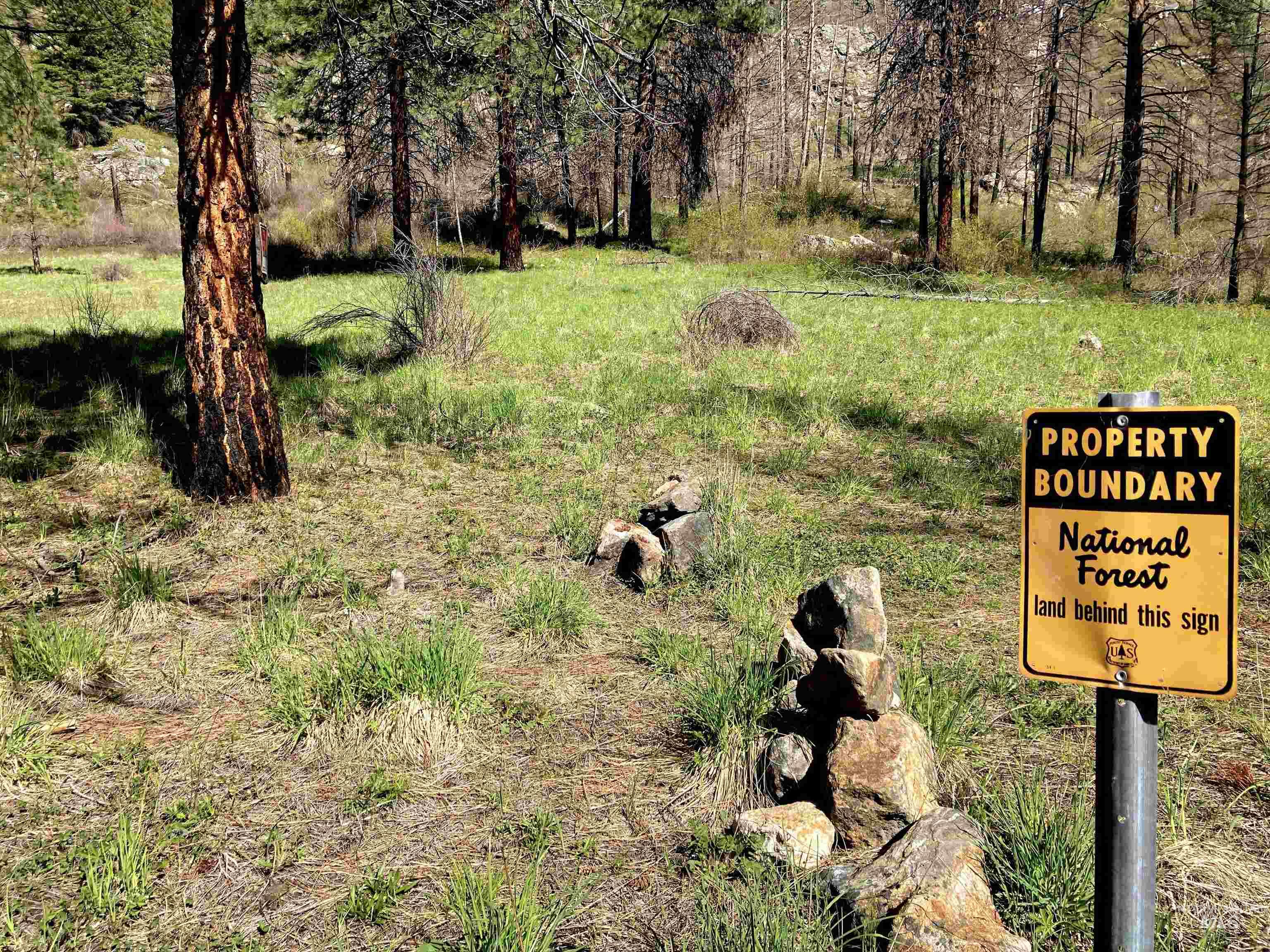 3869 Salmon River Road Riggins, ID 83549 - Photo 23 of 50