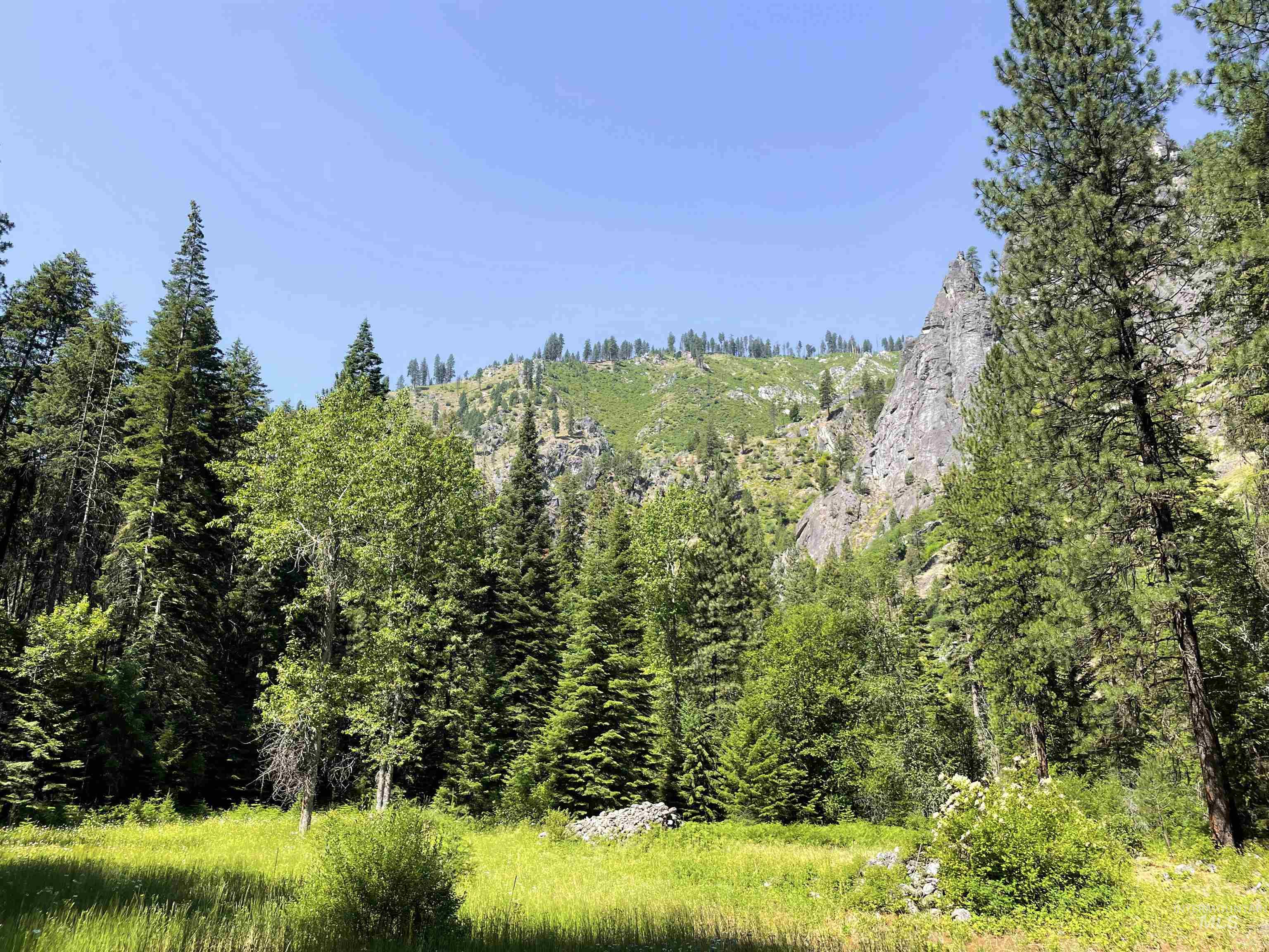 3869 Salmon River Road Riggins, ID 83549 - Photo 26 of 50