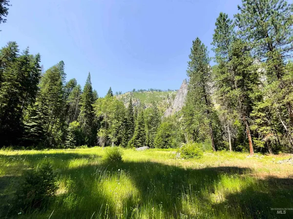 $975,000 | 3869 Salmon River Road, Riggins, ID 83549