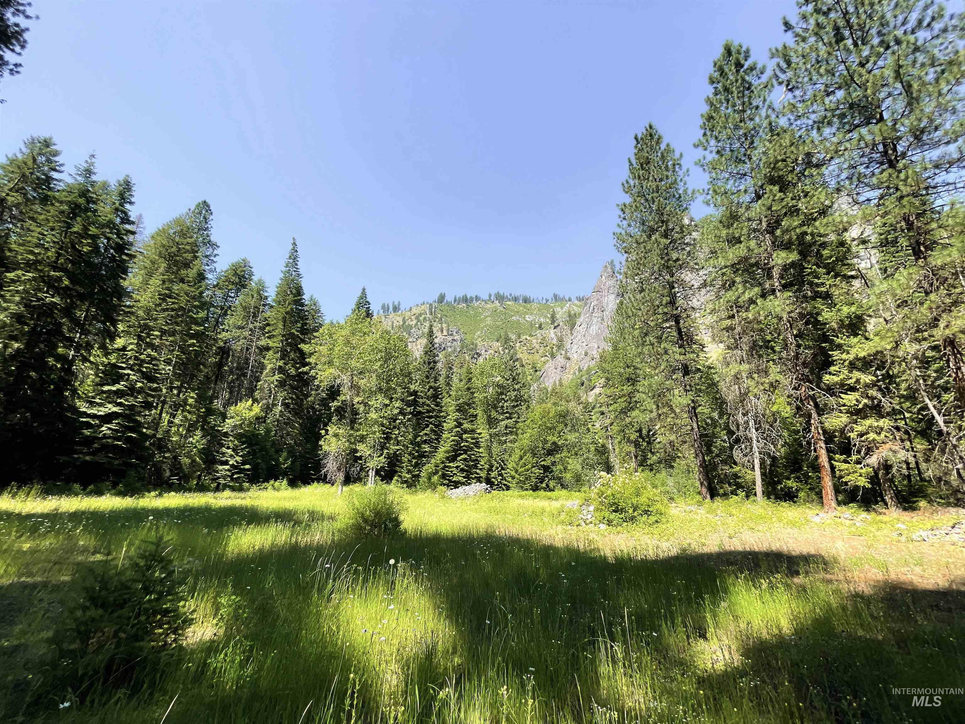 3869 Salmon River Road Riggins, ID 83549 - Photo 27 of 50