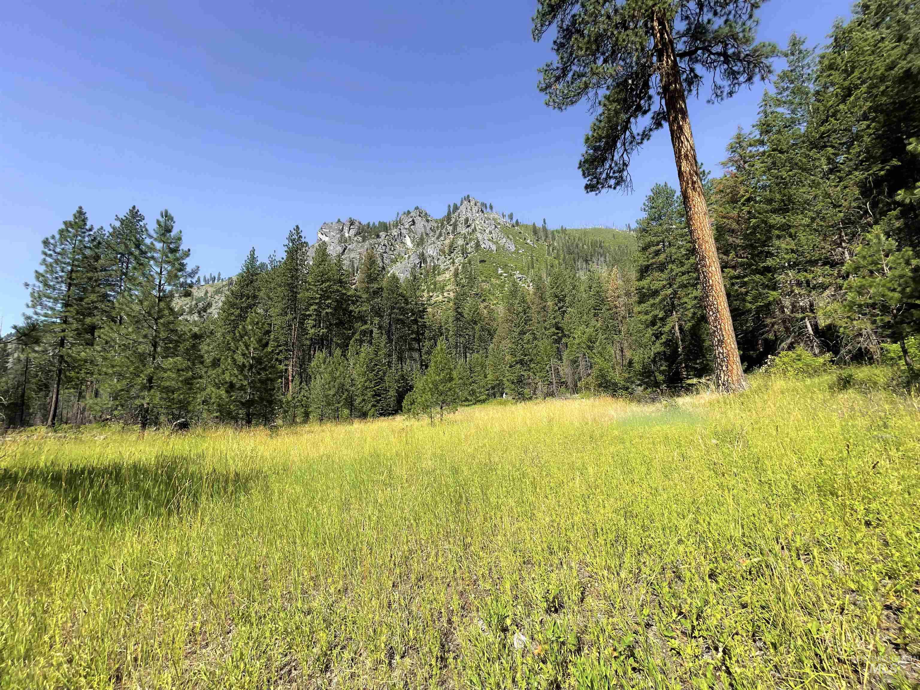 3869 Salmon River Road Riggins, ID 83549 - Photo 28 of 50