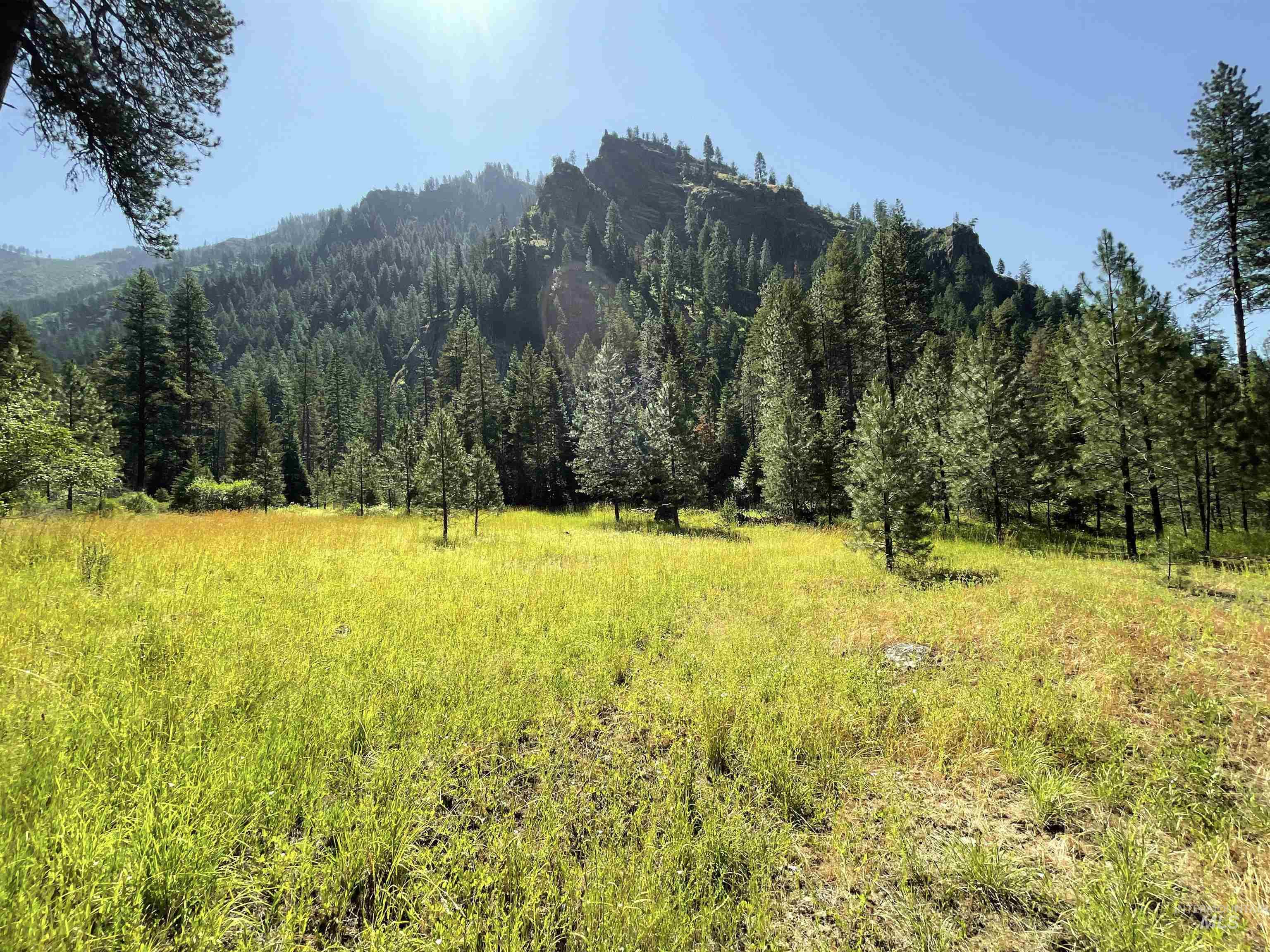 3869 Salmon River Road Riggins, ID 83549 - Photo 29 of 50